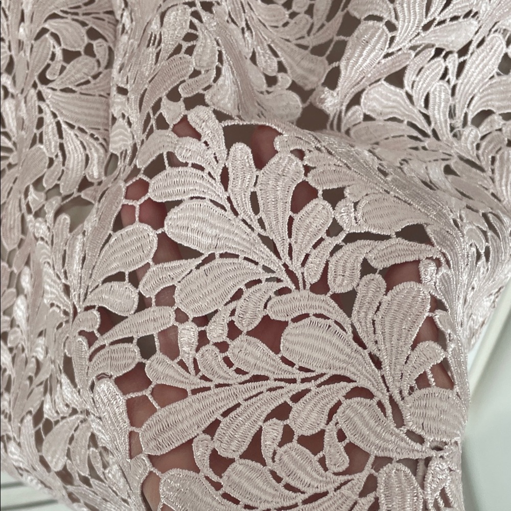 Eliza J Embroidered Powder Pink Lace Overlay Cocktail Dress - Size 4 - Picture 12 of 16